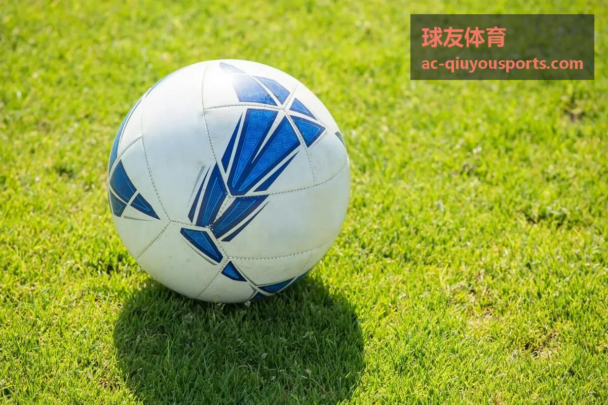 球友体育角色图鉴传说级角色展示