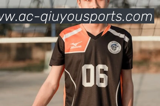 球友体育下载平台生态图